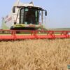 В Кореличском районе на 11 июля определены передовики на уборке зерновых, зернобобовых культур и рапса