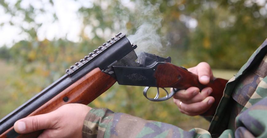 БООР: в Гродненской области ведется расселение лани в охотничьих целях