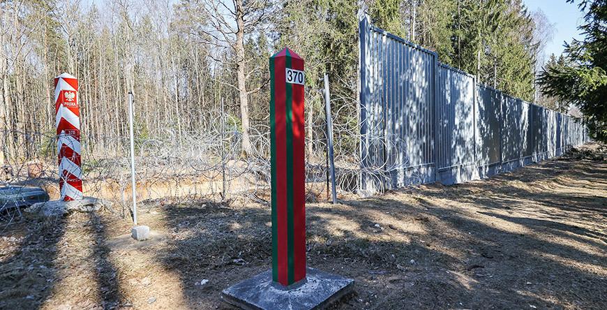 Беларусь в Париже на заседании Исполнительного совета ЮНЕСКО подняла вопрос сохранности «Беловежской пущи» из-за польского забора