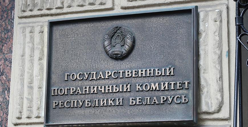 Белорусские пограничники обнаружили возле литовской колючки мертвого лося