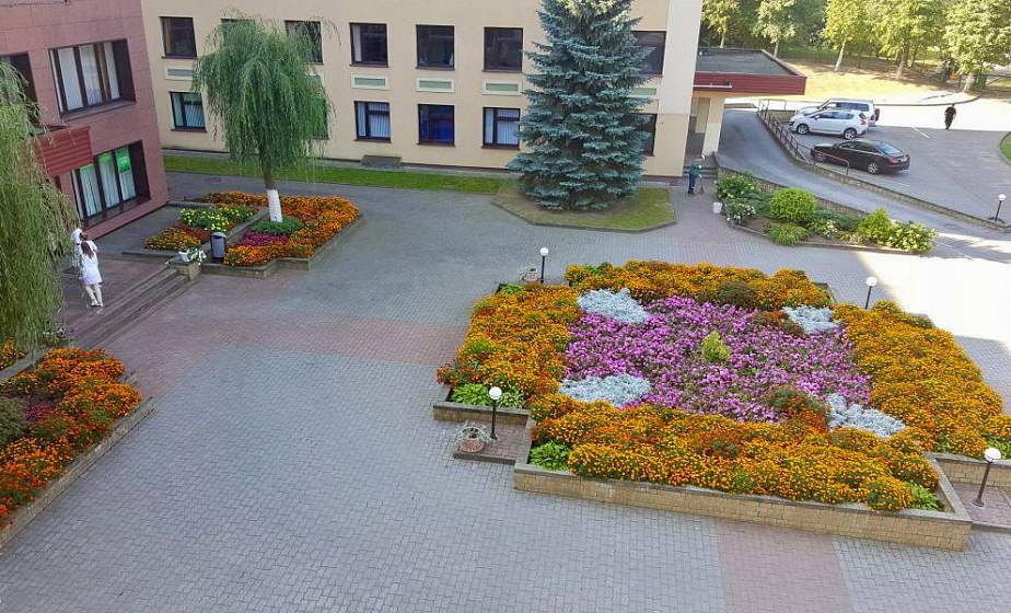 Больницу с самой благоустроенной территорией выбрали в Гродненской области
