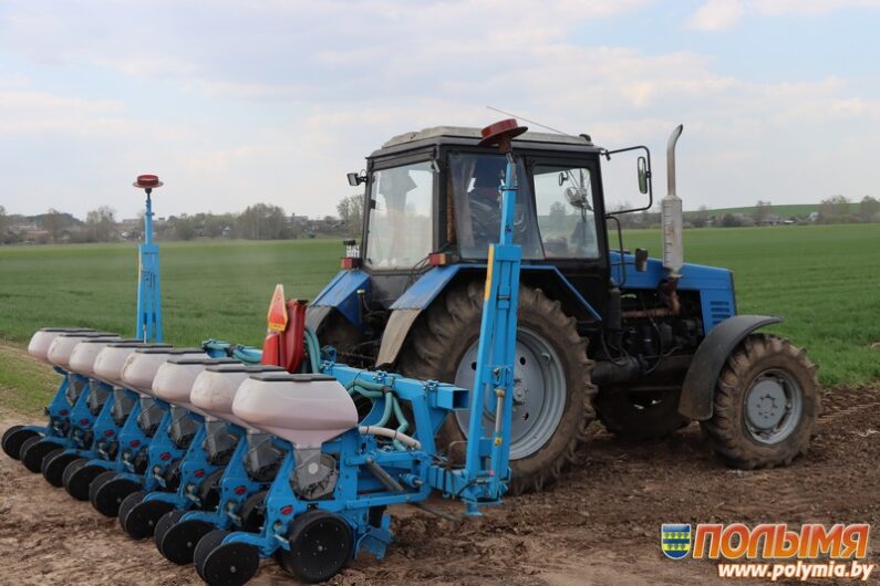 В Кореличском районе завершен сев льна-долгунца (инфографика)