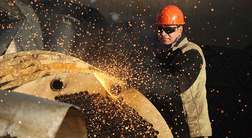 Какая сфера занятости самая популярная у белорусов. Белстат опубликовал статистику к 1 мая