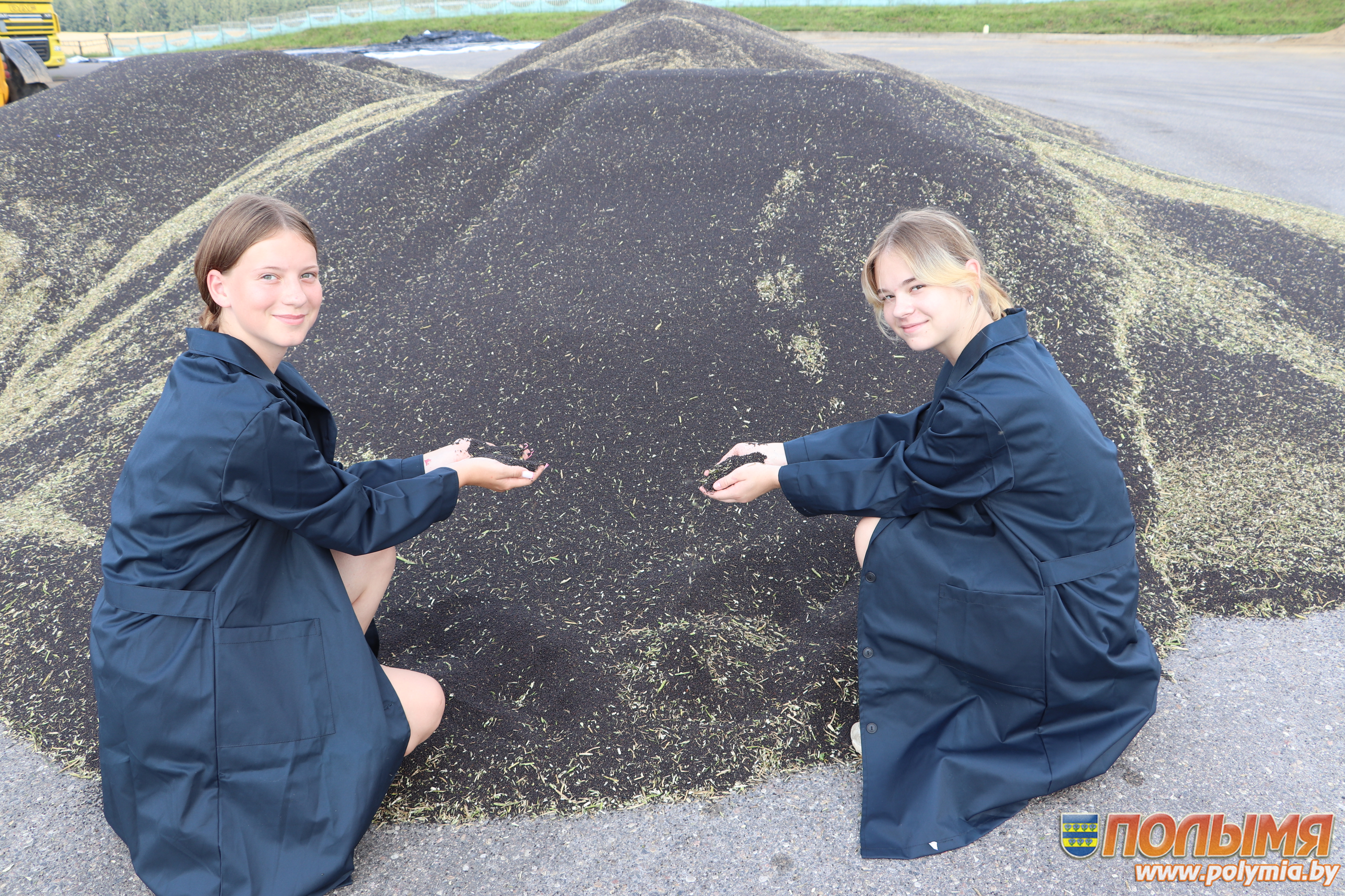 Урожай ожидают хороший. Как идет уборочная в ГП «Черняховский-Агро» и «Царюка»