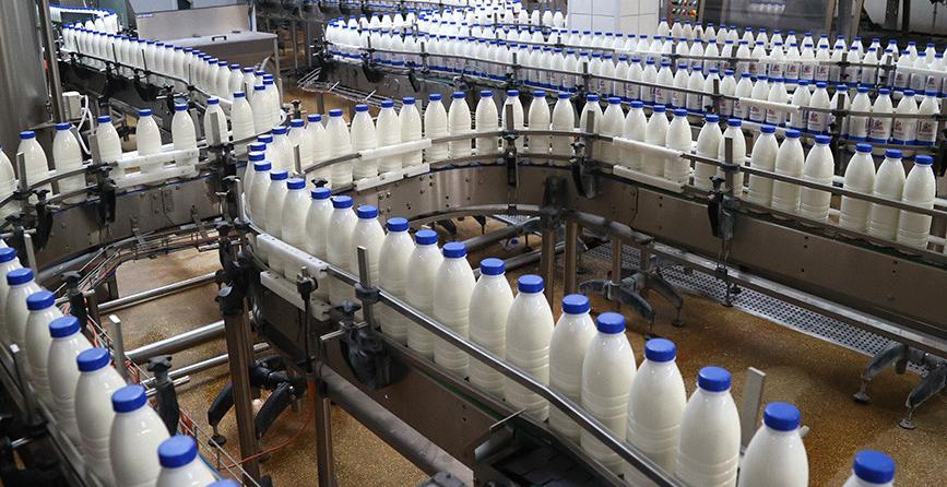 Объемы производства валовой продукции сельского хозяйства за первое полугодие увеличены на 10,2%