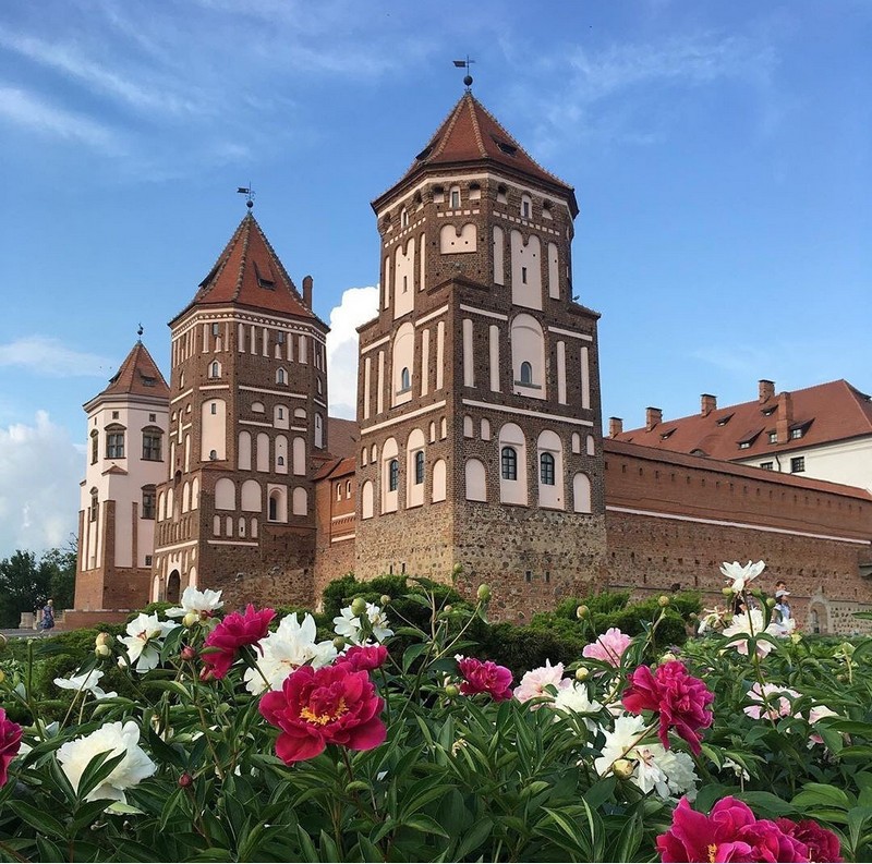 Цветочная гармония у стен Мирского замка