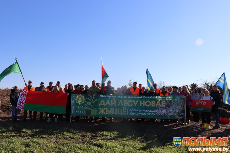 В Кореличском районе проходит акция «Дай лесу новае жыццё!»