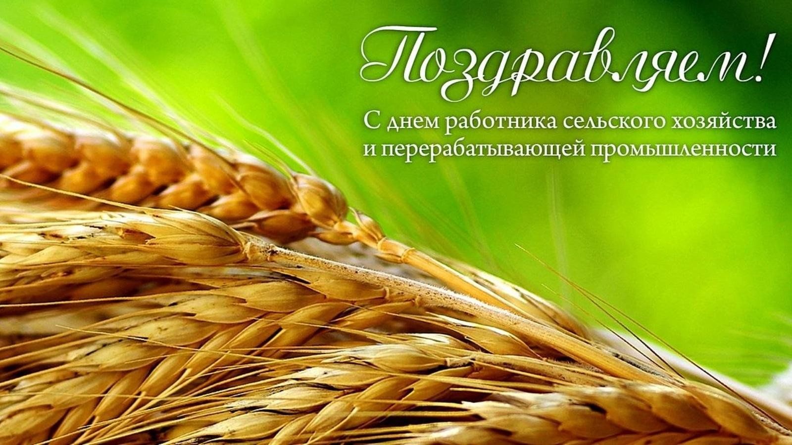 Поздравление Кореличского райисполкома и районного Совета депутатов с Днем работников сельского хозяйства и перерабатывающей промышленности
