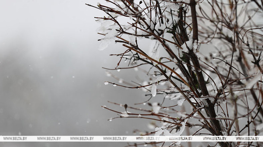 Гололедица и порывы ветра до 14 м/с. Какая погода сегодня будет в Беларуси