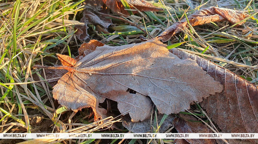 Слабый туман и до +5°С. Что надо знать белорусам о погоде сегодня