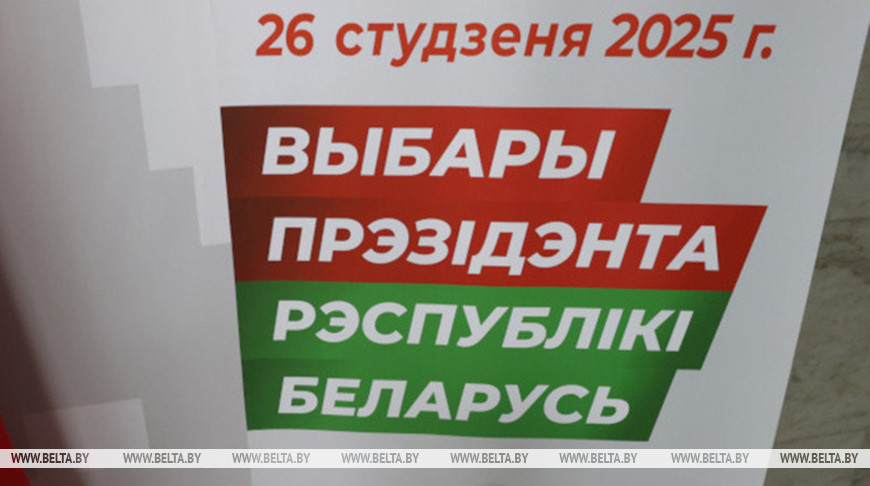 Наблюдатели от СНГ: агитационная кампания проходит в Беларуси спокойно и организованно