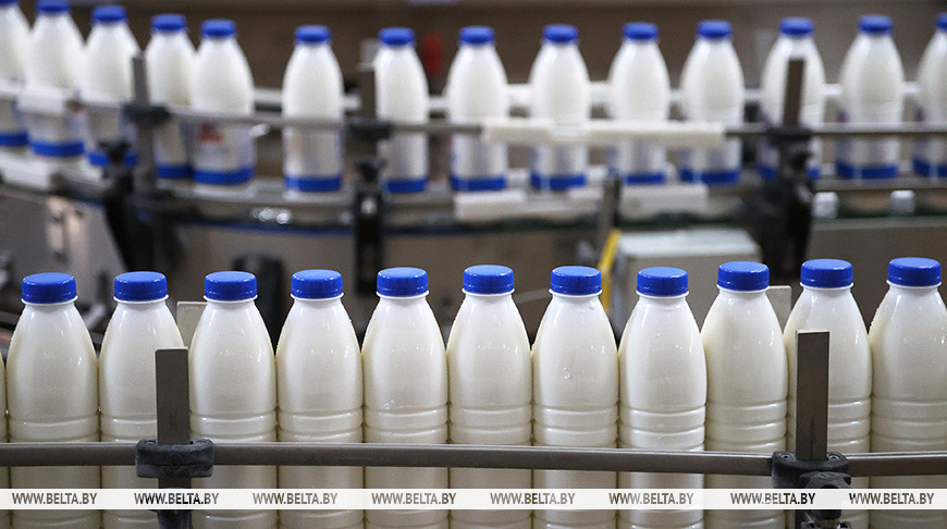 Россельхознадзор: почти 100% импортной молочной продукции в России приходится на Беларусь