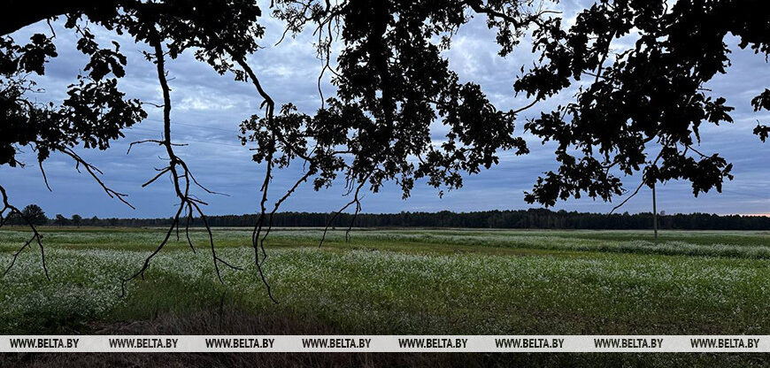 До +16°С ожидается в Беларуси 24 сентября