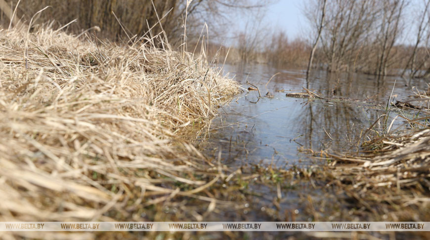 На реках Беларуси ожидается спад уровней воды