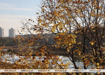 Облачно с прояснениями, до +17°С по юго-западу будет сегодня в Беларуси