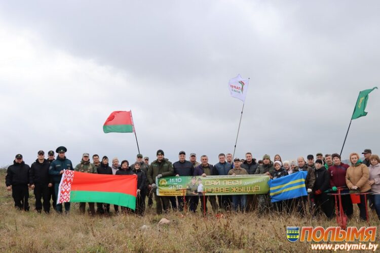 Кореличчане присоединились к республиканской добровольной акции «Дай лесу новае жыццё!»
