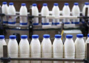 Названы лидеры по производству молока в Кореличском районе