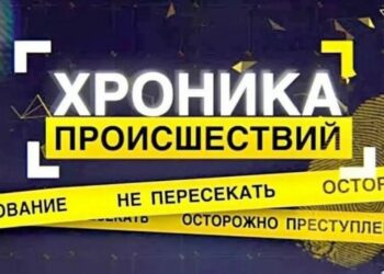 В Кореличском районе к административной ответственности за неделю привлечено 12 человек