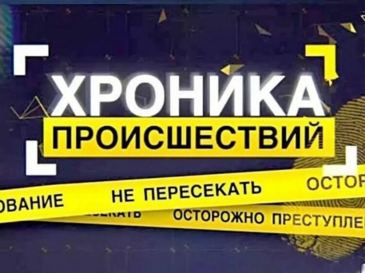 В Кореличском районе к административной ответственности за неделю привлечено 12 человек