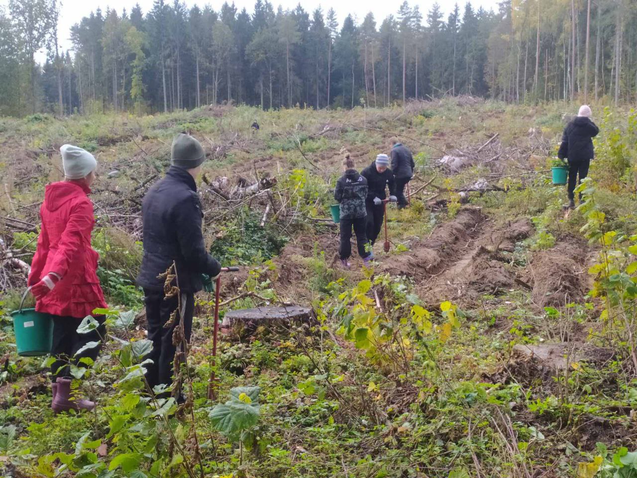Красненская средняя школа присоединилась к акции «Дай лесу новае жыццё»