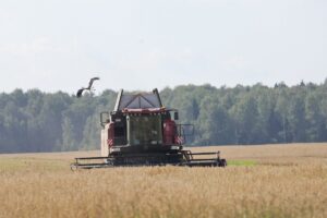 Почему так важно сохранить деревню