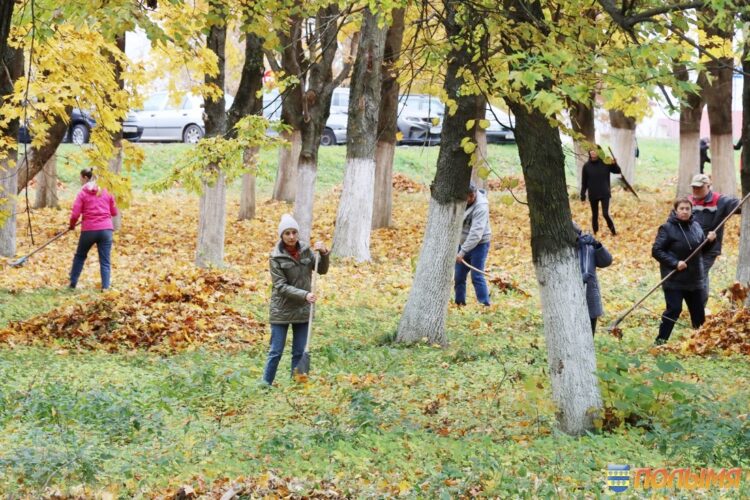 Куда направят средства, заработанные на республиканском субботнике жителями района, рассказали в Кореличском райисполкоме