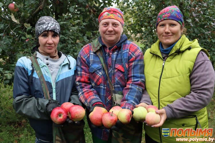 В Кореличском районе модернизация молочно-товарных ферм ускоряет динамику надоев и улучшает качество продукции