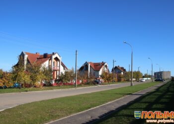 Делегат I Всебелорусского народного собрания Анна Мамончик: «В 1996 году мы поддержали курс на социально ориентированное государство»