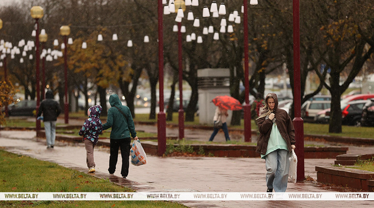 4 ноября в Беларуси будет облачно, днем с прояснениями