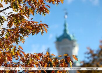 До +6°С ожидается сегодня в Беларуси
