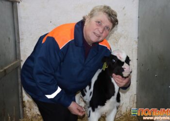 Животновод ГП «Племзавод Кореличи» Татьяна Коледа: «Телят нужно любить, как своих детей»