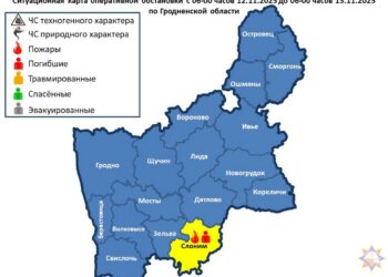 За сутки подразделениями МЧС области совершено 20 выездов