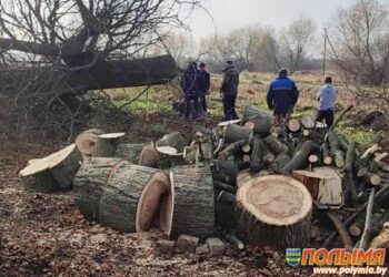В деревне Загорье Красненского сельсовета жители очистили запущенный пруд