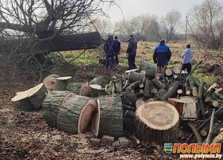 В деревне Загорье Красненского сельсовета жители очистили запущенный пруд