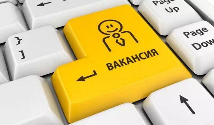 В ноябре в Гродненской области проведут 13 электронных ярмарок вакансий