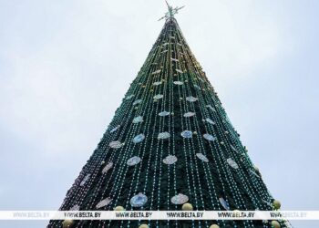 Главная елка страны засияет в Минске 15 декабря 