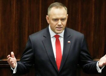 Навроцкий не был проинформирован о планах ВС Польши передать Украине МиГ-29