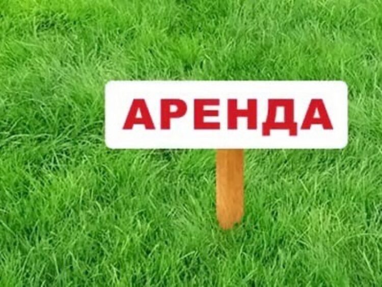 В Кореличах появилось арендное жилье. Куда можно обратиться?