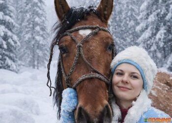 Дорогие наши читатели, подписчики, партнеры, коллеги!