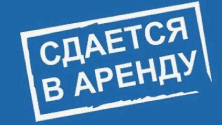Как сдать в аренду нежилое помещение, машино-место