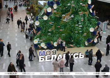 Познавательно, увлекательно, красиво. На выставке «Моя Беларусь» в праздничные выходные ажиотаж