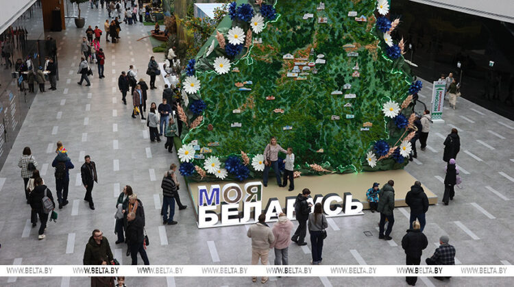 Познавательно, увлекательно, красиво. На выставке «Моя Беларусь» в праздничные выходные ажиотаж