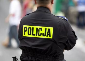 В Польше задержали сто подозреваемых в педофилии