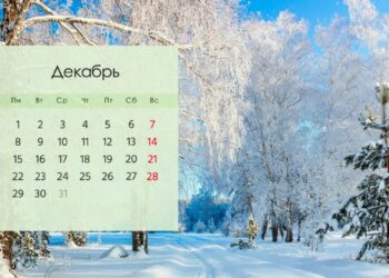 Какие изменения ждут белорусов в декабре?