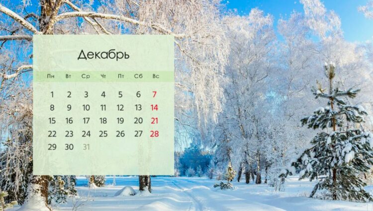 Какие изменения ждут белорусов в декабре?