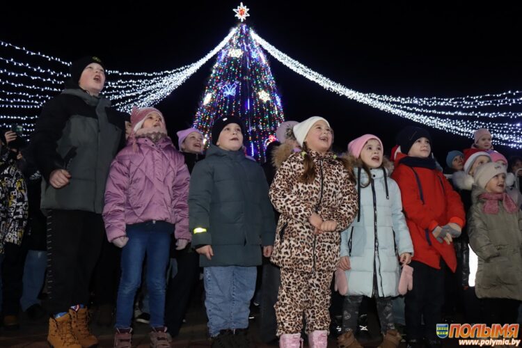 В Кореличах состоялся праздник зажжения районной ёлки «Волшебство начинается!»