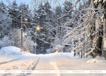 Сильный снег и до -14°С мороза ожидается сегодня в Беларуси