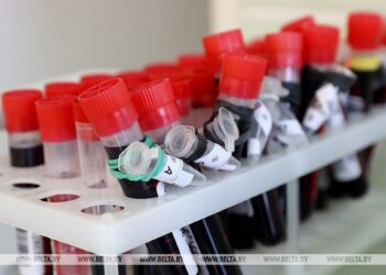 Минздрав: риск распространения вируса Нипах на территории Беларуси минимален