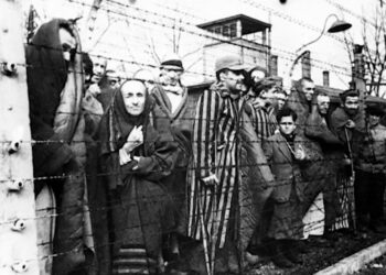 История кореличских евреев, сбежавших через туннель из Новогрудского гетто