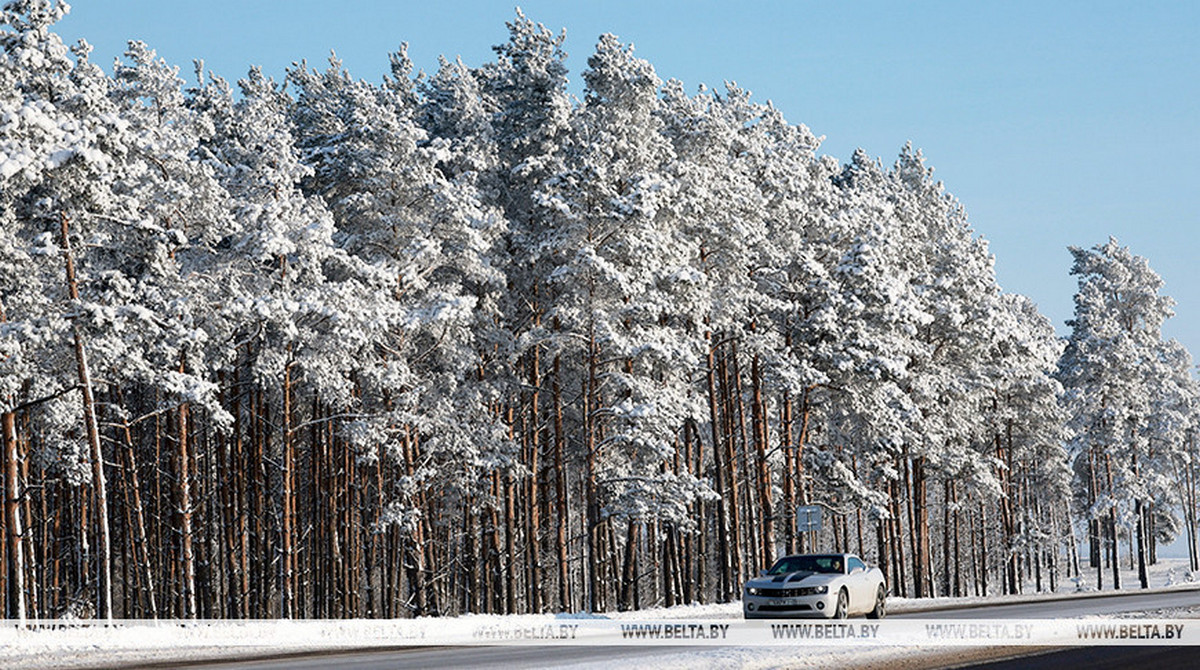 До -28°С в ночное время ожидается в Беларуси 18 января 